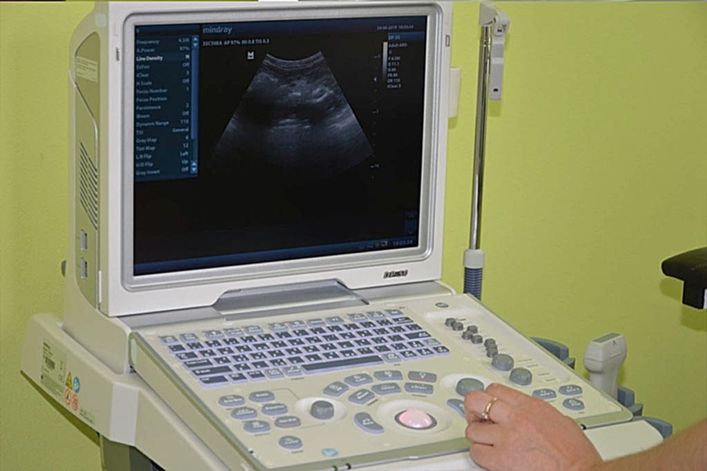 Ветклиника