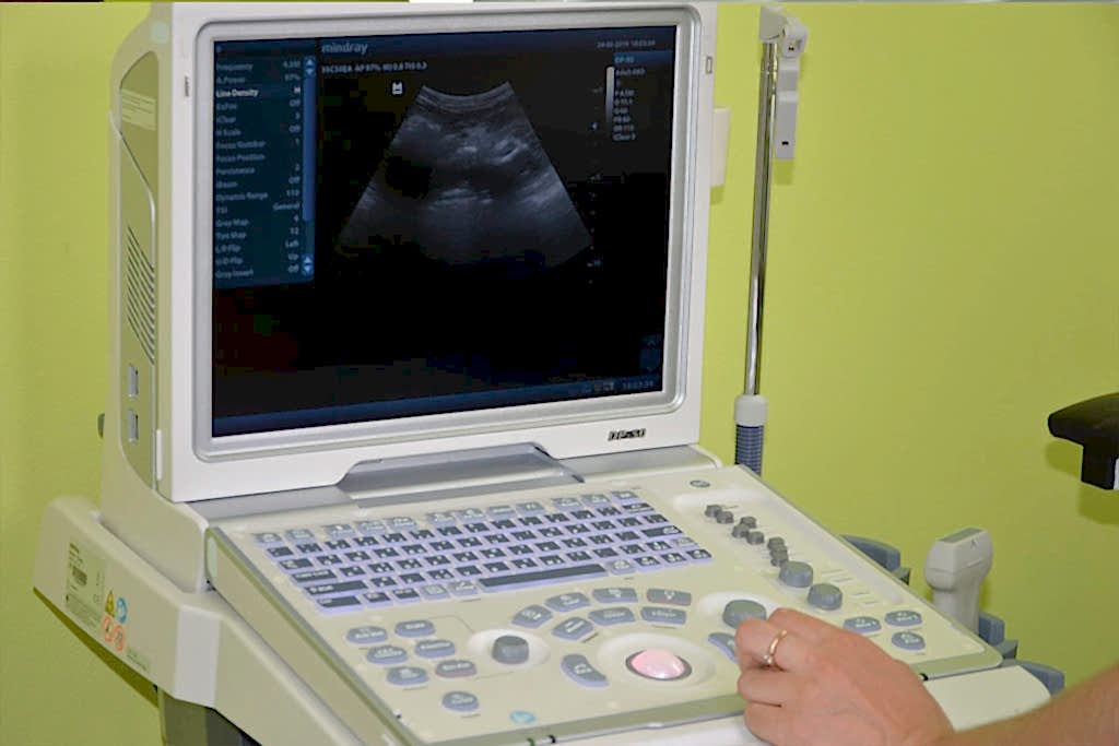 Терапия животных в алматы