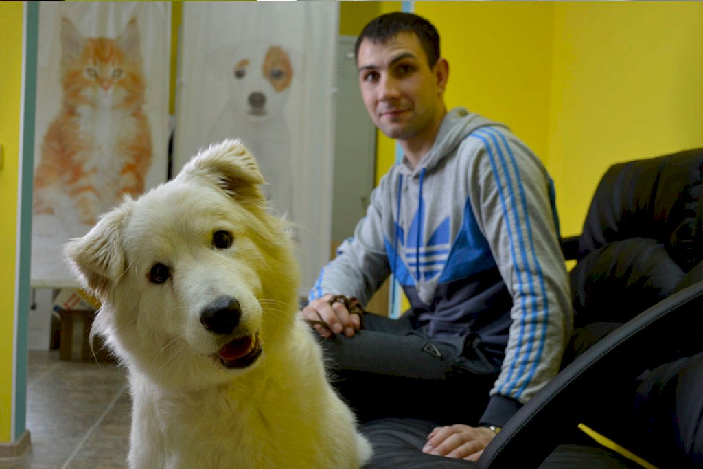 Терапия животных в алматы