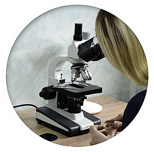 узи и анализы для животных в Алматы