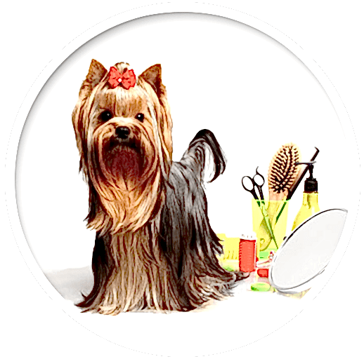 Груминг для животных в Алматы